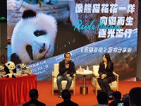 http://m.cptoday.cn/​《熊猫花花》图书分享会在武汉书展举办