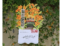 http://m.cptoday.cn/图书编辑转型做文创，我想努力寻找“慢文化”的当代表达方式